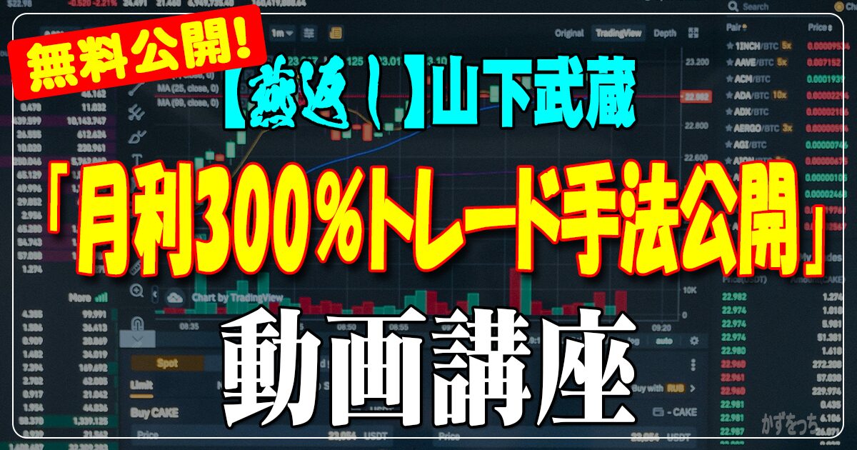 【燕返し】山下武蔵の「月利300％トレード手法公開」動画講座